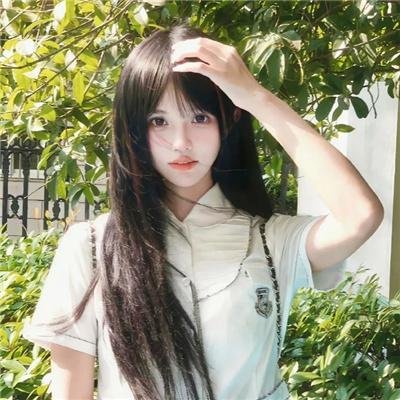 同路人